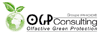 Logo OGP CONSULTING